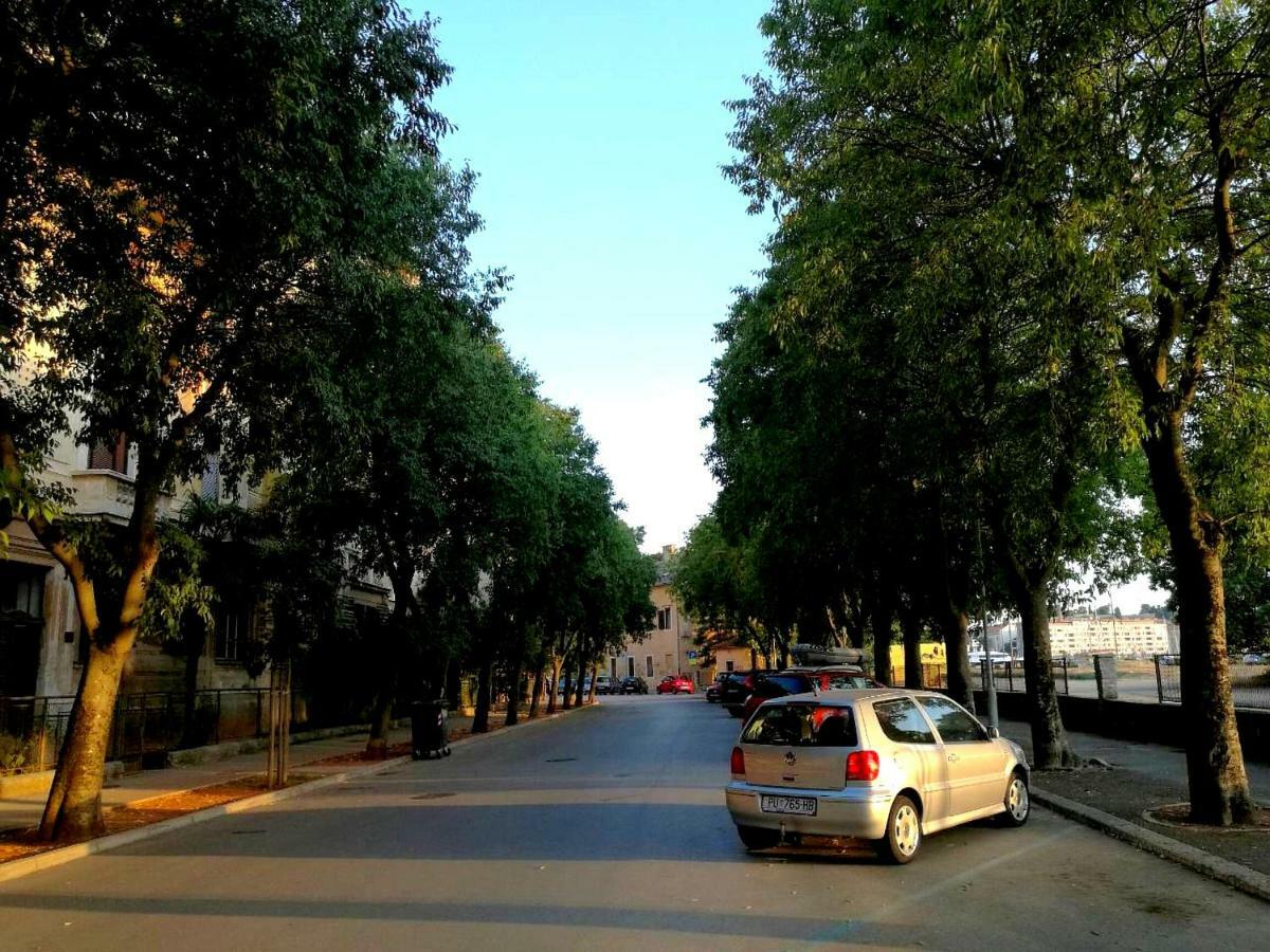App Obrovac In The Centre - With Amazing Sea View! Pula Exterior foto